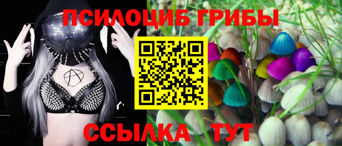Псилоцибиновые грибы GOLDEN TEACHER  Вход с VPN  Зерноград 